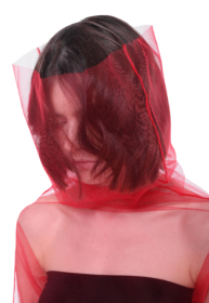 red sheer turtleneck top red mesh top red tulle top futuristic clothing cyberpunk top red mesh shirt avant garde clothing womens techwear transparent top sheer long sleeve top high neck sheer top extravagant top tulle turtleneck top gothic punk rave outfit red see through top dystopian clothing mesh turtleneck top halloween top witch top gothic photoshoot outfit berghain outfit mesh long sleeve top sheer shirt mesh shirt festival clothing dark fashion alt clothing gothic stage wear music video outfit high neck tulle top gothic bride top techno wear gothic shirt cyberpunk clothing avant garde wedding outfit red tulle t-shirt red sheer top